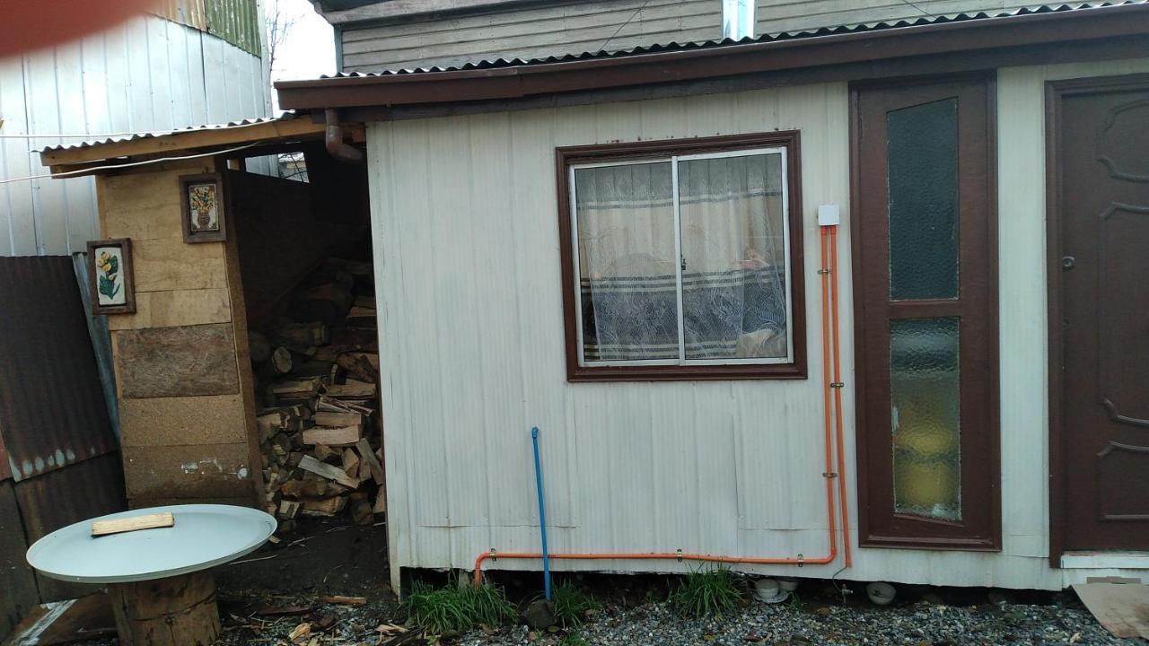 Cabana Independiente No Pareada Lugar Tranquilo Valdivia Bagian luar foto